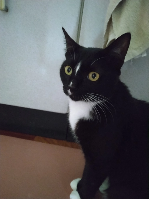 3/27はなちゃんの様子