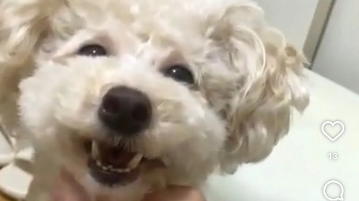 【残り11日】2回目のインスタライブでした