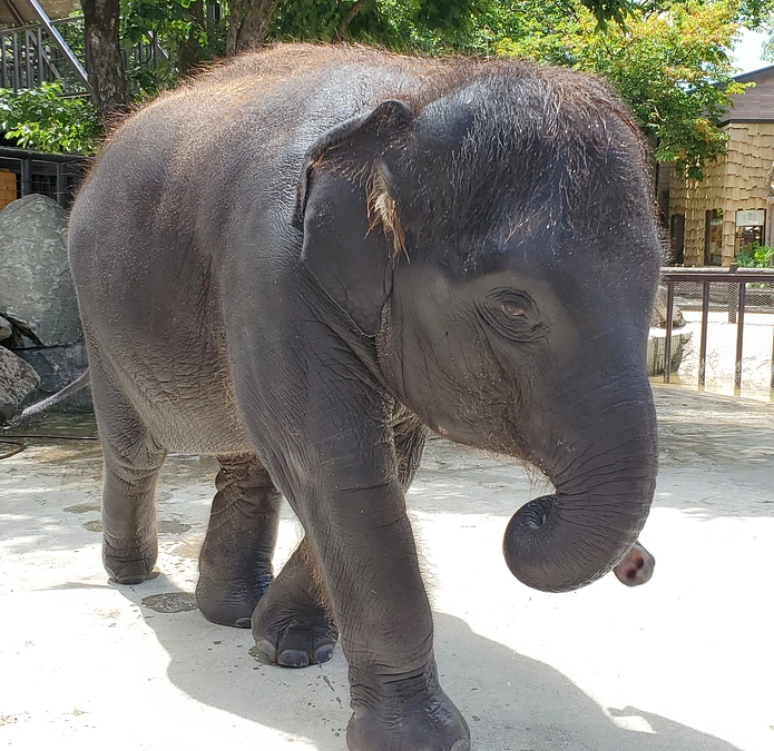 SNSフォローお願いします！