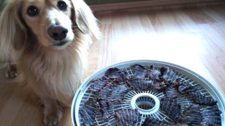 駆除後廃棄されてしまう鹿肉で、ペット用無添加おやつを作りたい