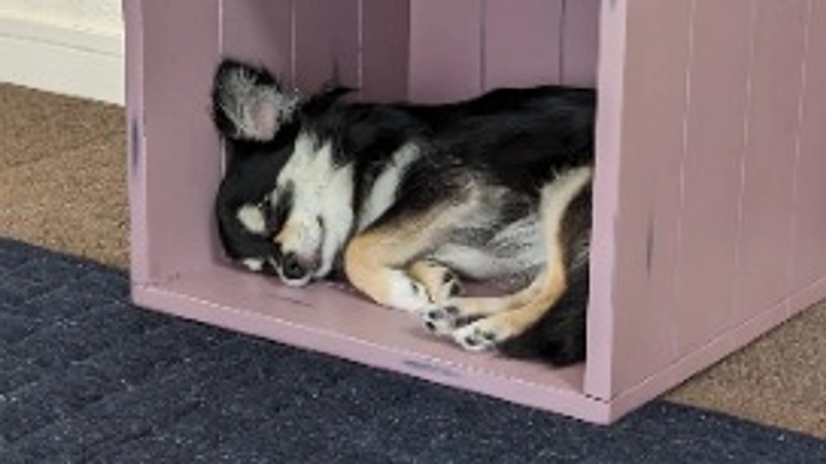 お気に入りの場所