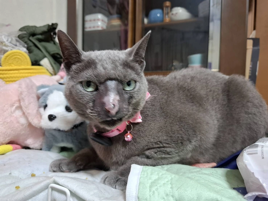 本日は病院に行ってきました。