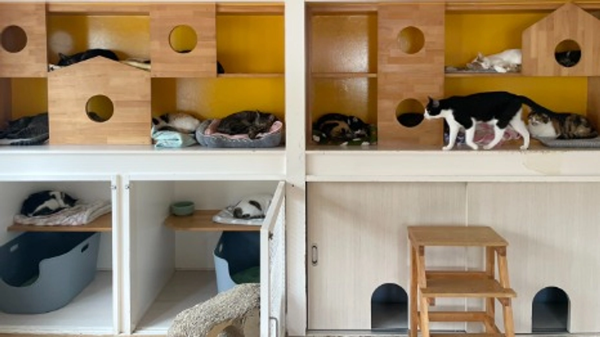 ＬＹＳＴＡ通信　R７年９月