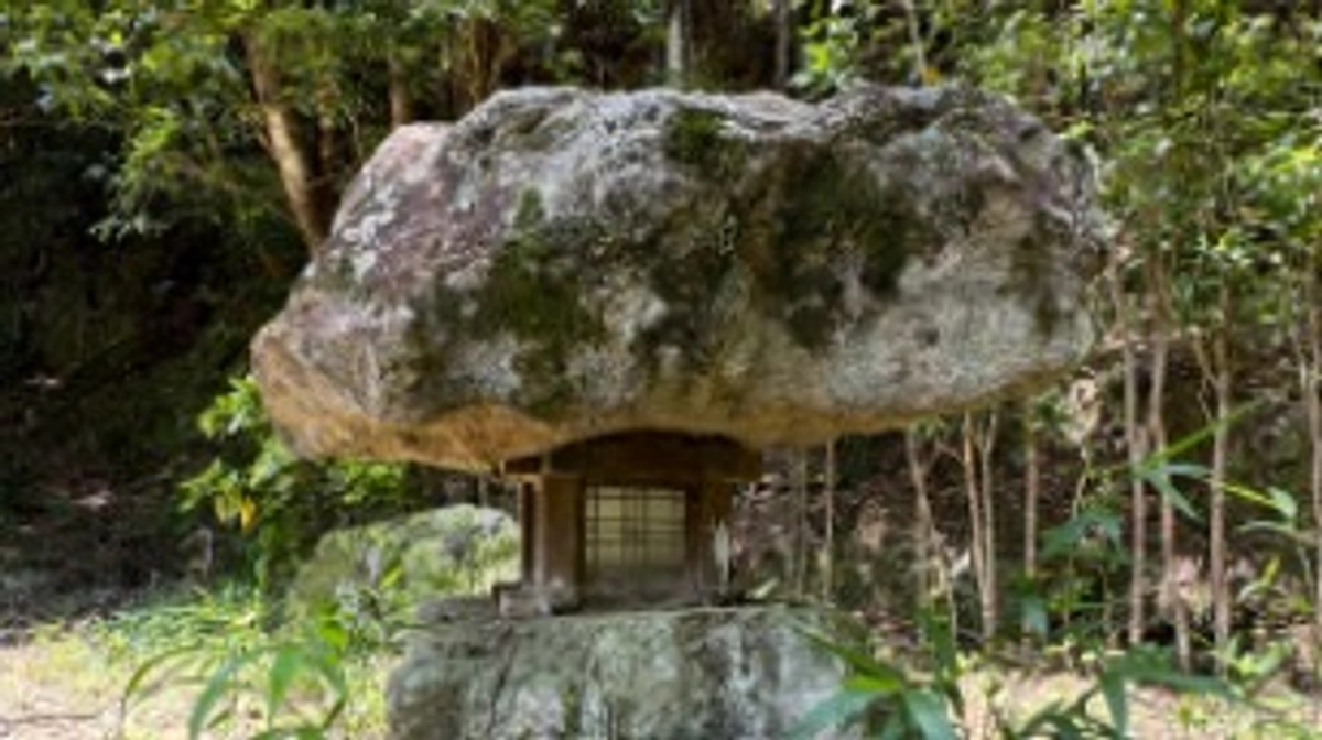 近田屋にてインスタライブ