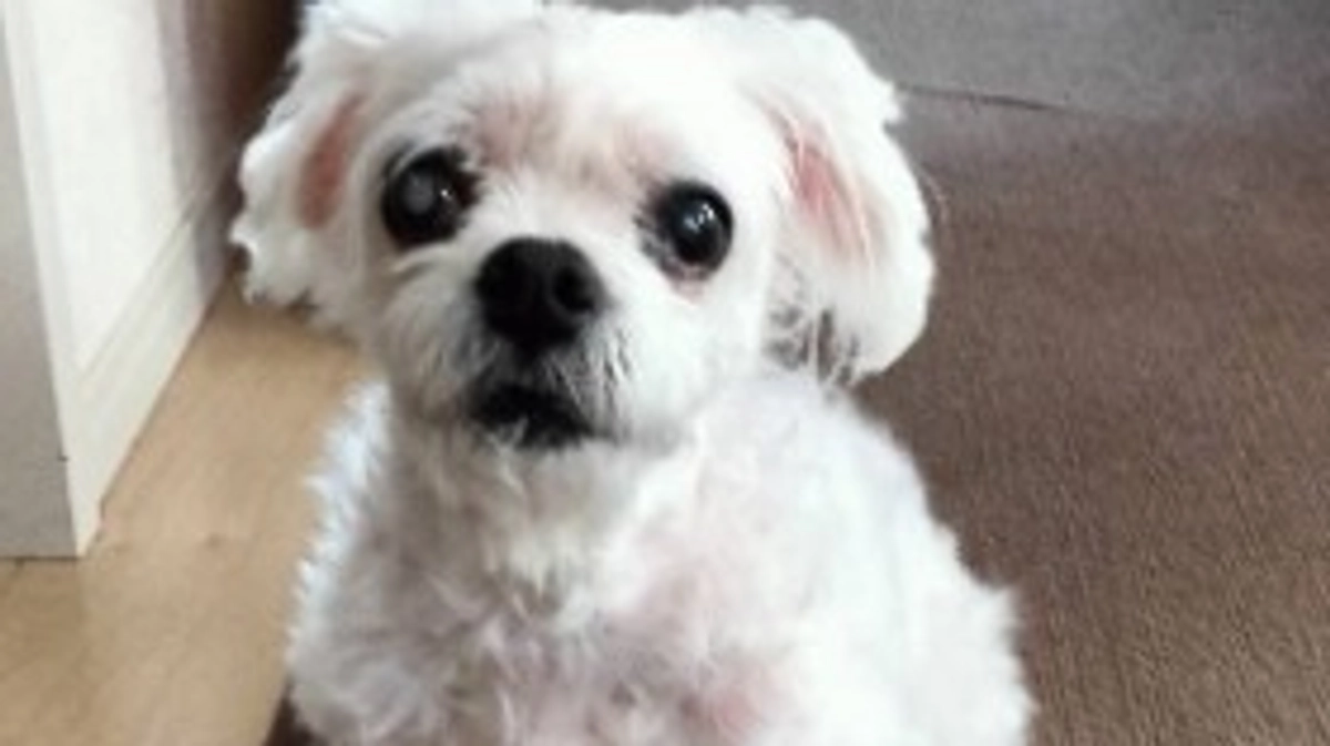 次回は２週間後に検査