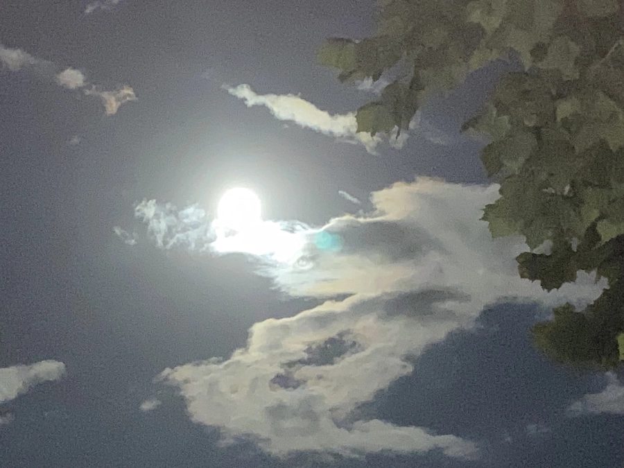 月の光に照らされ、雲を依代に龍神さまが現れてきました！