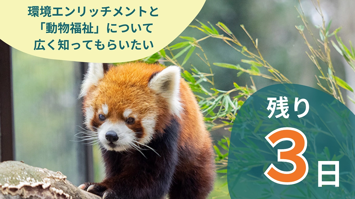 残り３日！クラウドファンディングを通じて「動物福祉」をより多くの方々に知っていただきたい