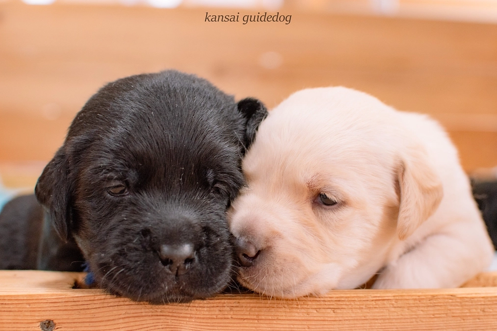 22%達成しました（２０２３／０７／２４)