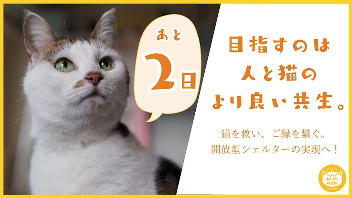【残り2日】1700万円突破!!　温かい応援メッセージのご紹介      