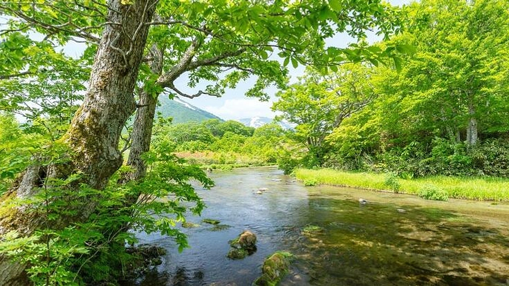 香害やシックハウス症候群に悩む人のための養生リトリートを作りたい!