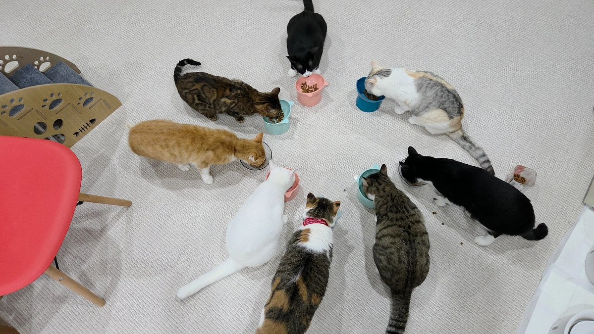 皆様のお力添えのおかげで今日も頑張れています