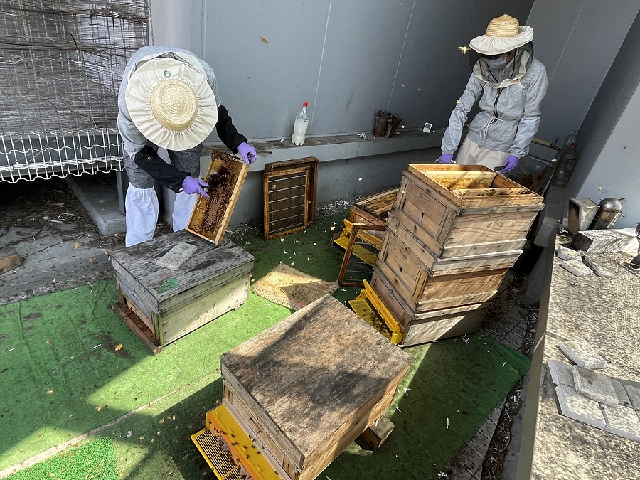 安田学園の参加エントリー