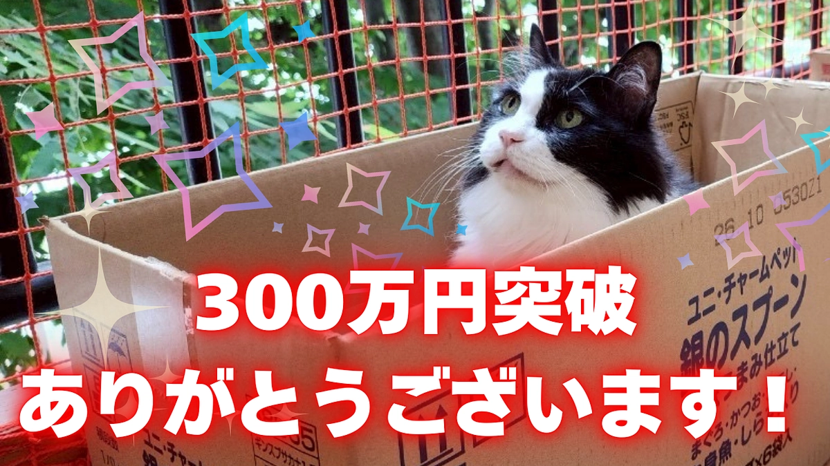 🌸【クラウドファンディング300万円達成のご報告】🌸