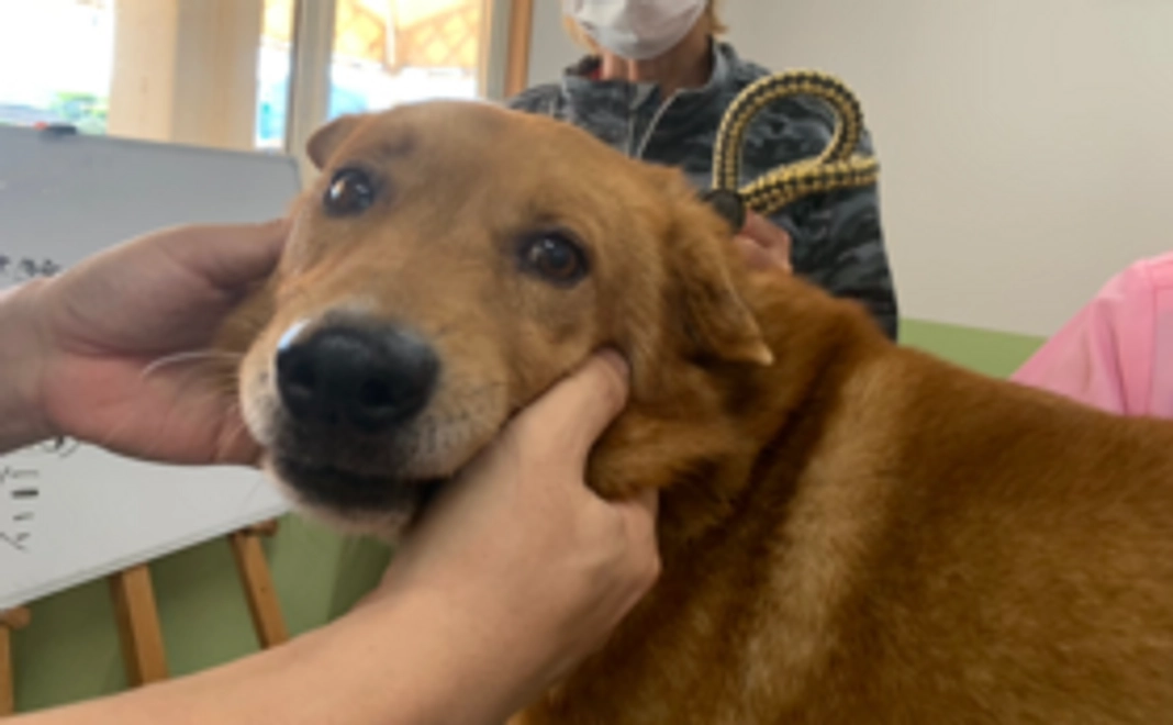 【お気持ちコース】