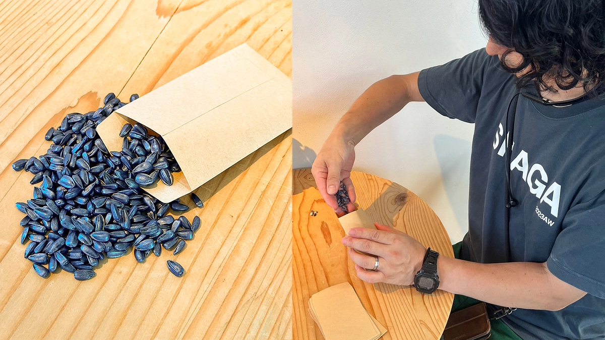 ひまわり種フレンズプロジェクトのご紹介【メンバーからのメッセージ（桑村）】