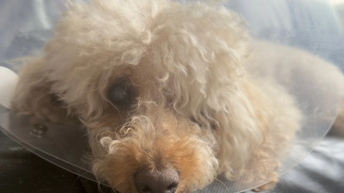 皆さまのおかげで、目標達成することができました。本当にありがとうございました。