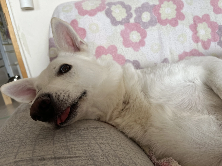 今日もご支援、応援有難うございます。