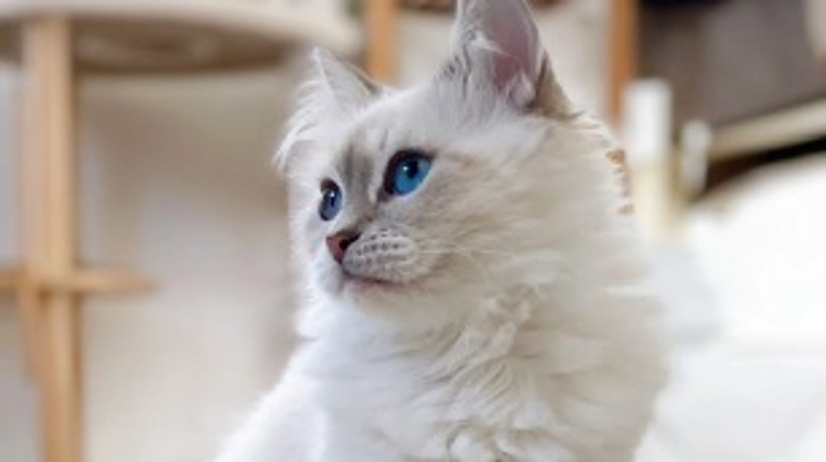 【採血結果が正常値になりました！】