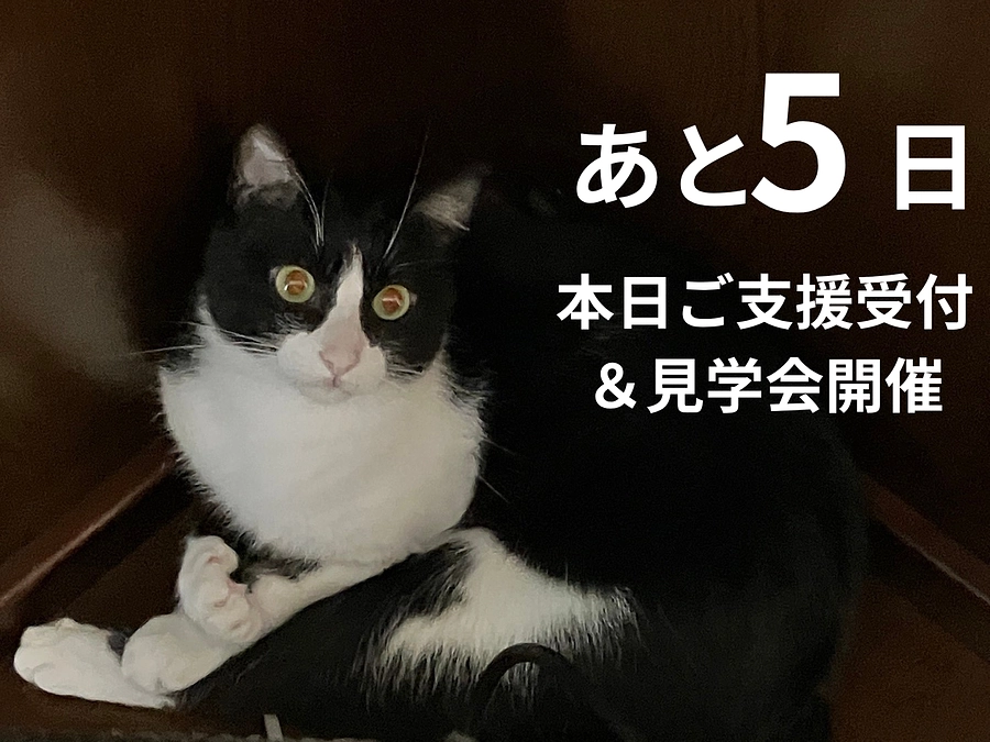 あと５日、本日ご支援受付＆見学会開催します。