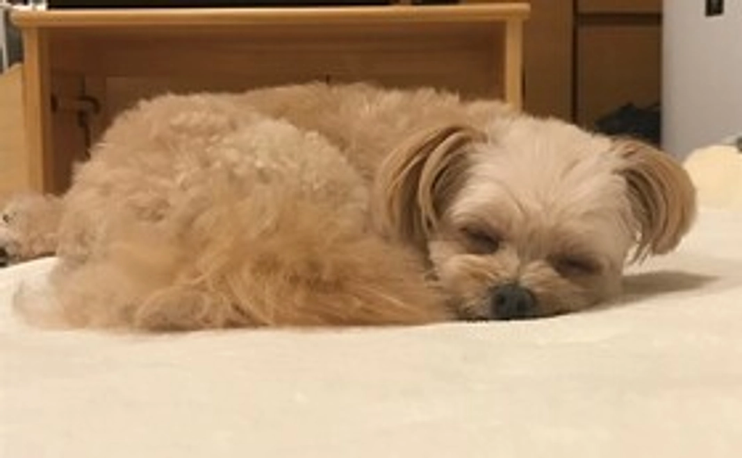 ご支援よろしくお願いいたします　2