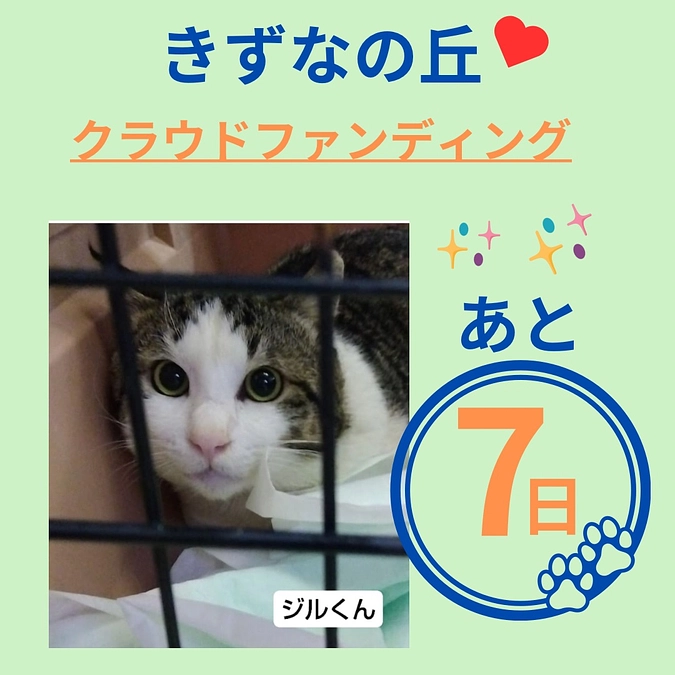 プロジェクト終了まで残り7日となりました！