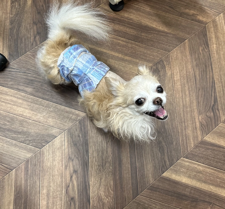 8/15面会に行ってきました