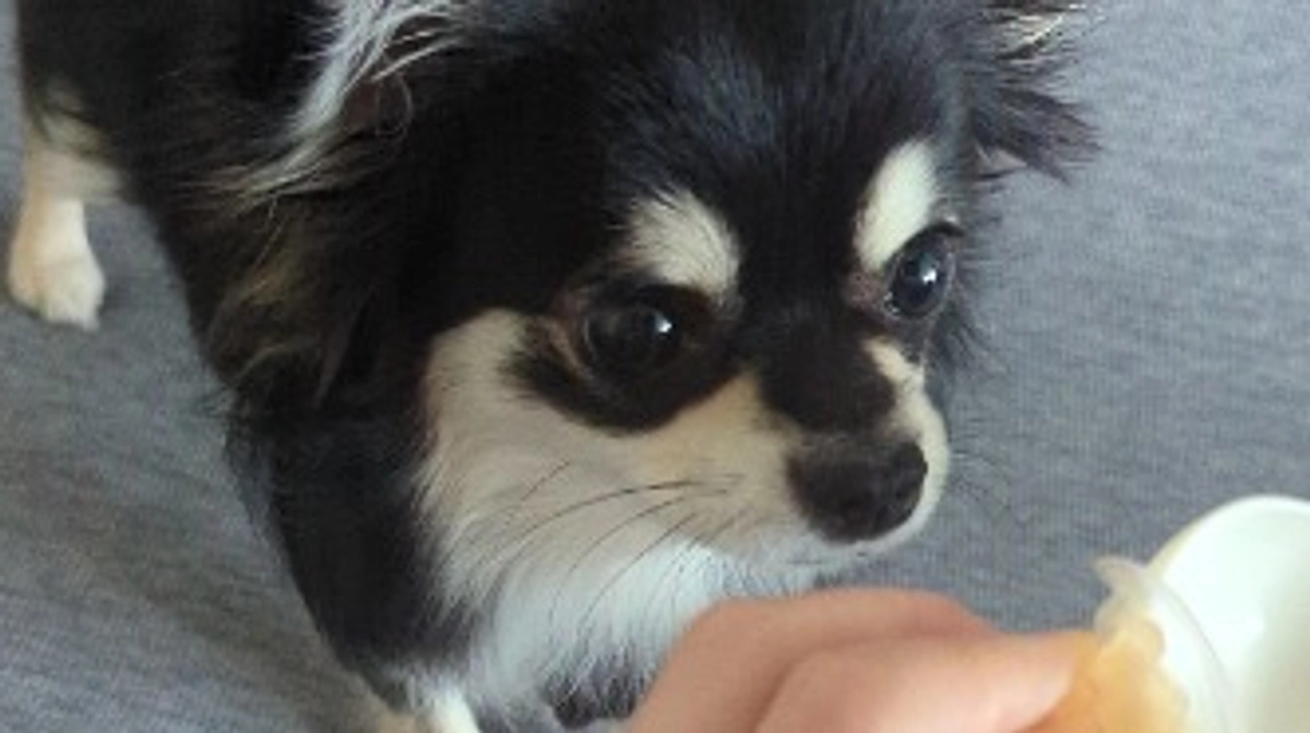 プロジェクトのタイトルとトップ画像を修正しました