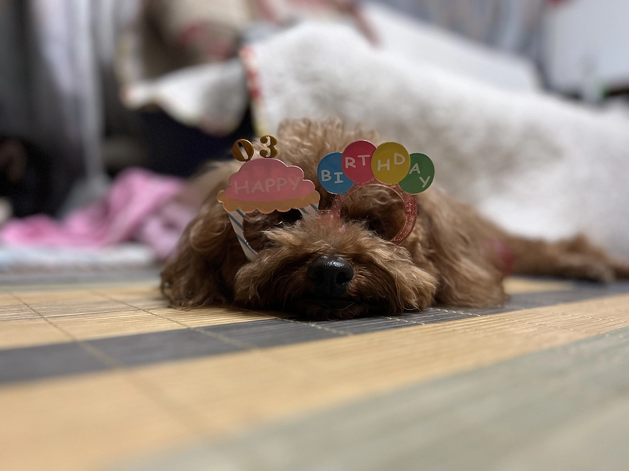 本当にありがとうございました!!