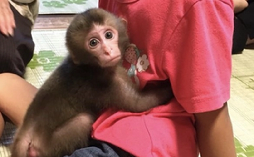 感謝のメール　1000