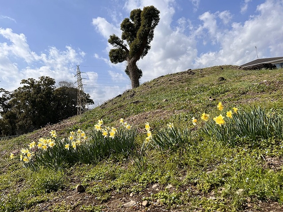 鹿島市より補助金もいただきました　　深謝
