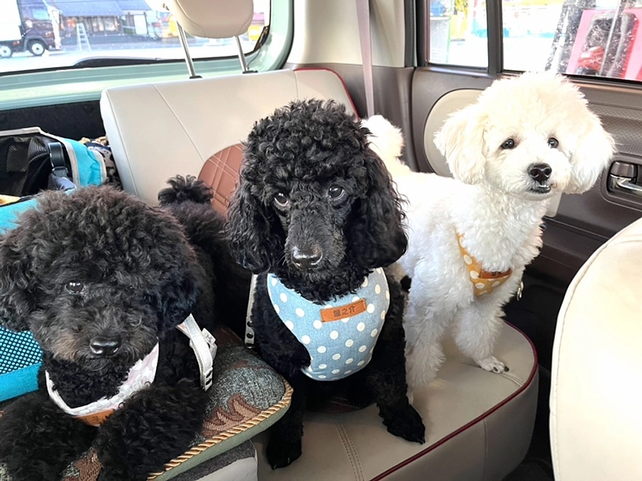 応援メッセージが届きました！