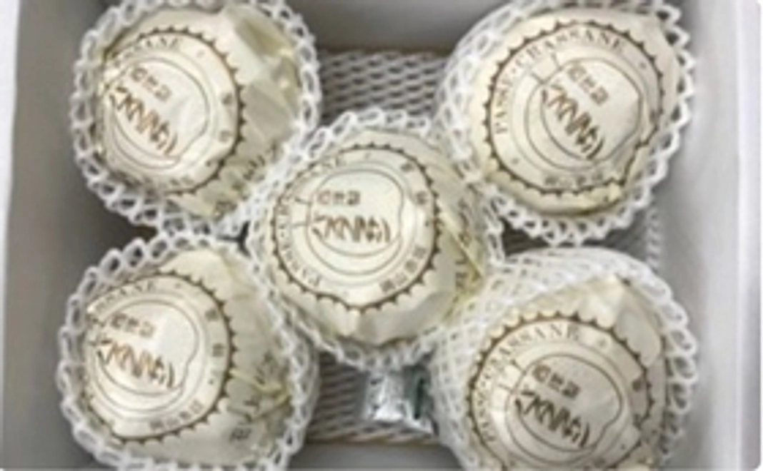 「パスクラサン」5玉入