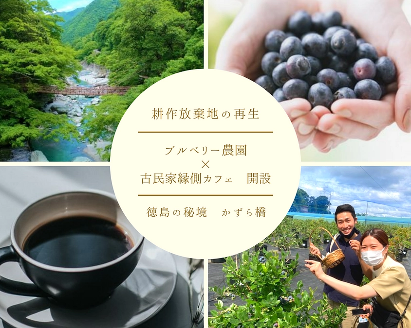 明日、6月19日(月）徳島新聞にクラウドファンデイングについての記事が掲載予定です。