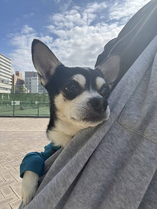 本日、達成率50%超えました‼︎