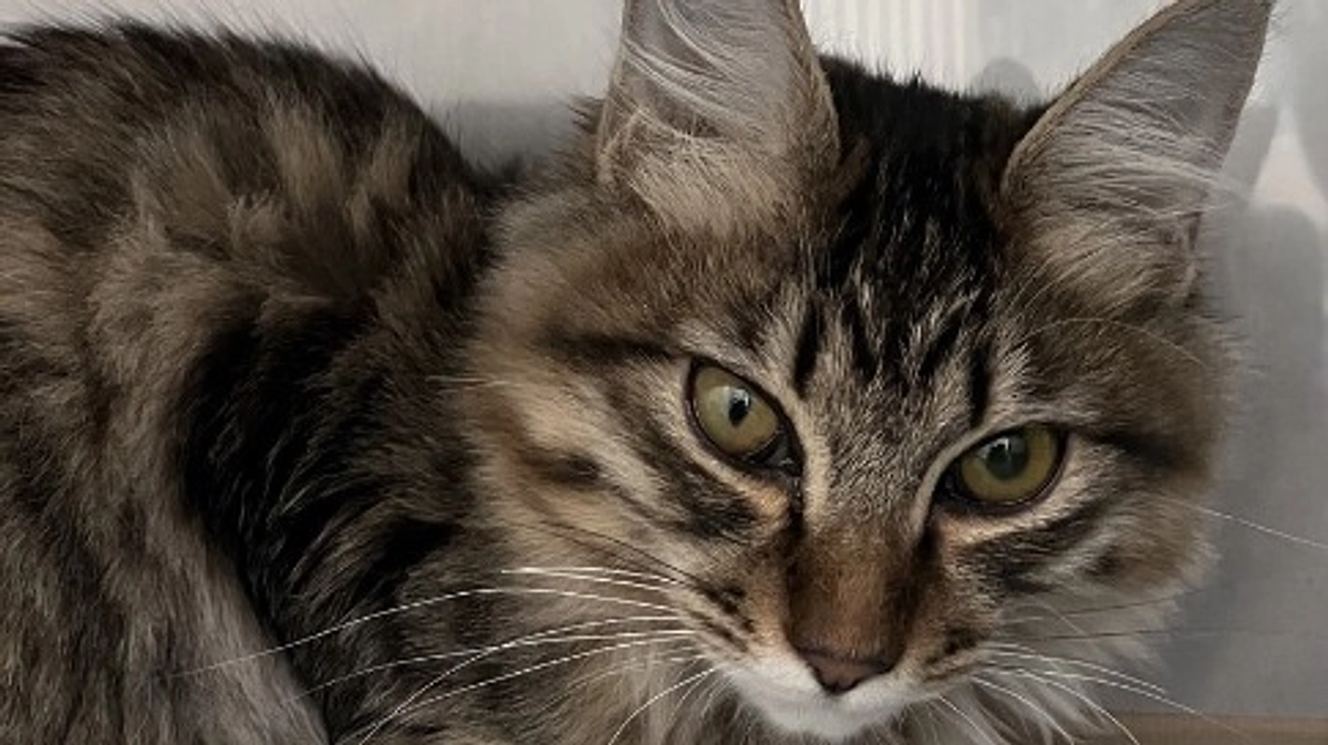 検査結果と治療費について