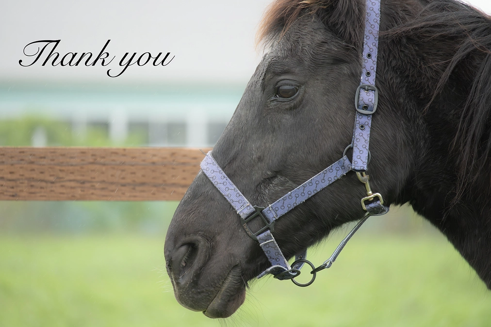 応援メッセージのご紹介②