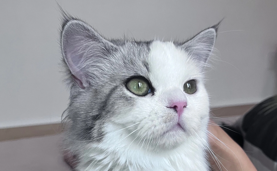 ５　ぽちゃのために　写真＋感謝メール