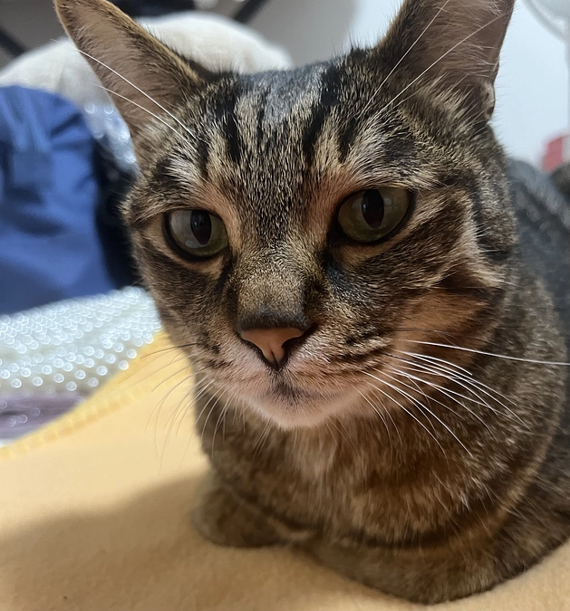 【今日のなっちゃん】6月23日