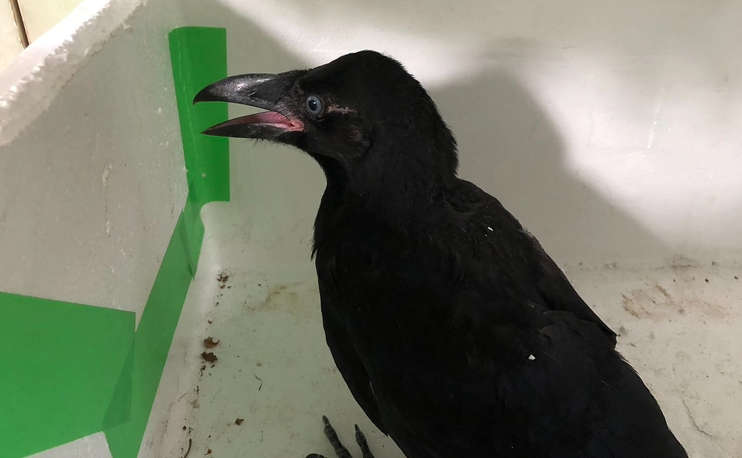 画像付き感謝のメールをお送りいたします。Vol.1