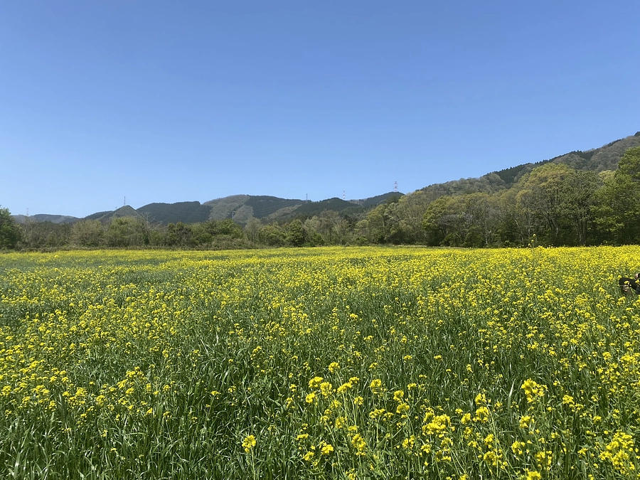 ご支援有難うございます！！