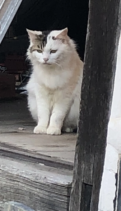 本日は久しぶりに晴れています