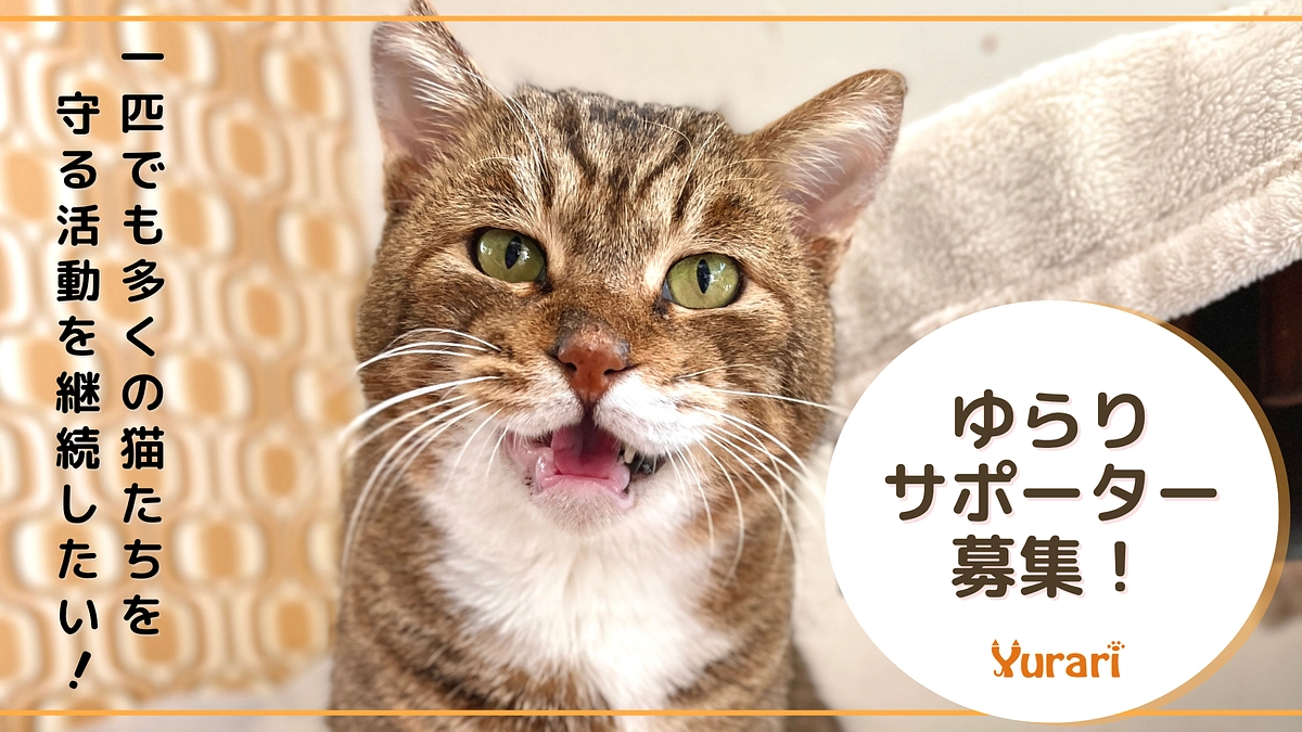 ゆらりマンスリーサポーター募集開始！！
