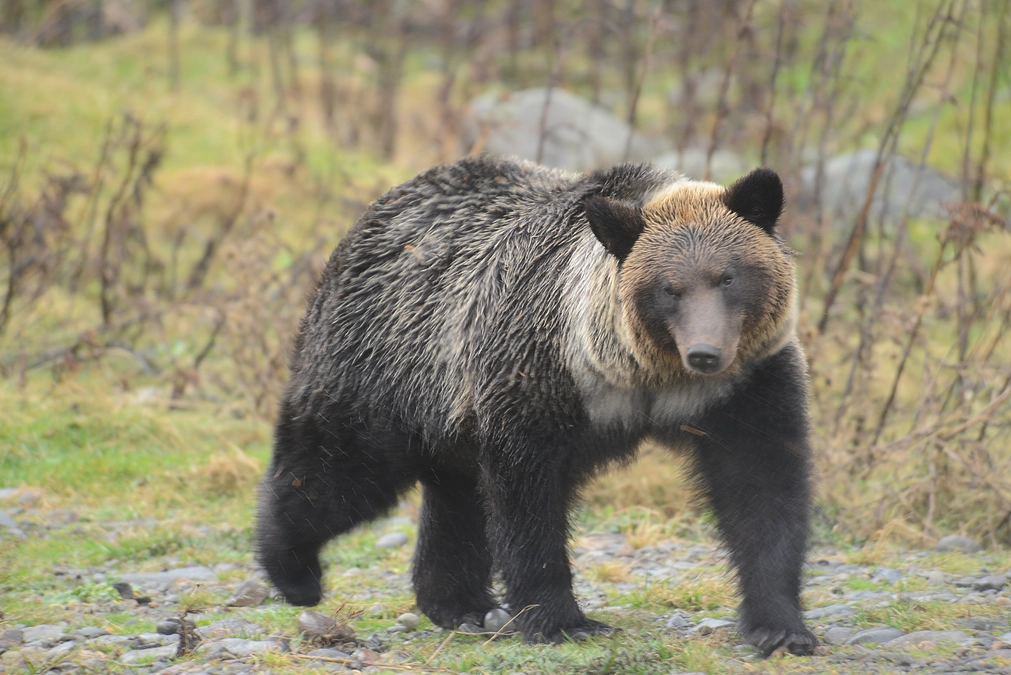 【残り4日！】第二弾のクラウドファンディングがまもなく終了します！