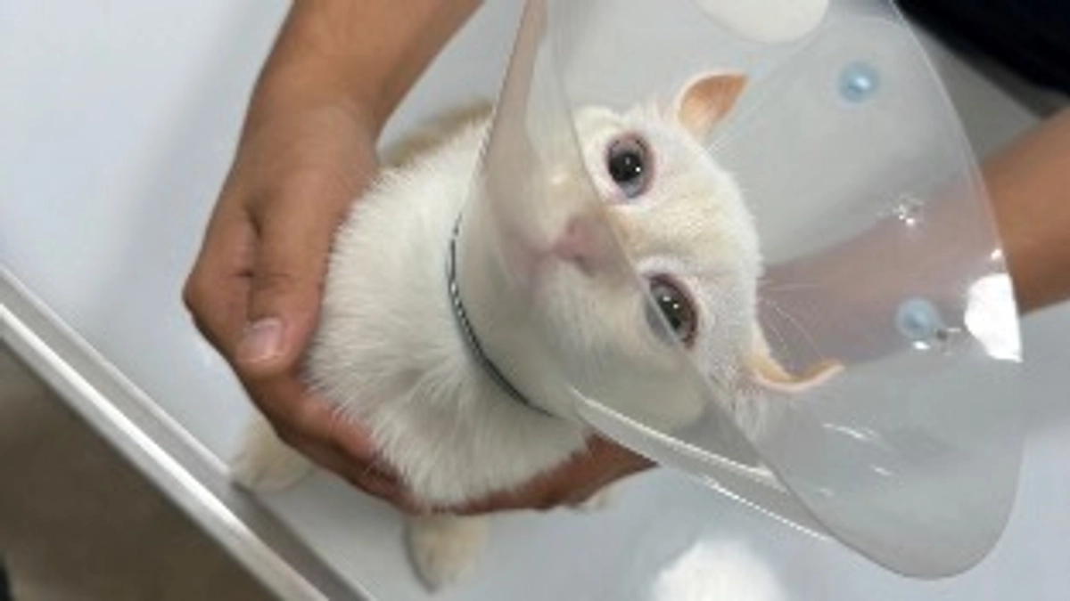 生後6ヶ月🎂検査に行ってきました🏥