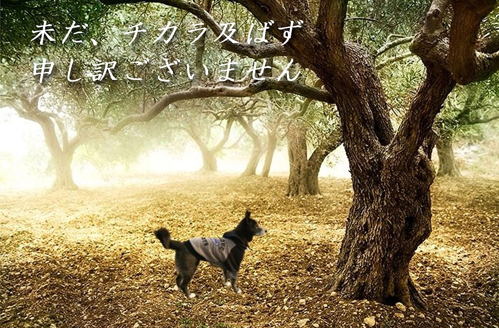 お詫びとお願い。ワンニャンモニュメント！犬猫共生ファシリティへ