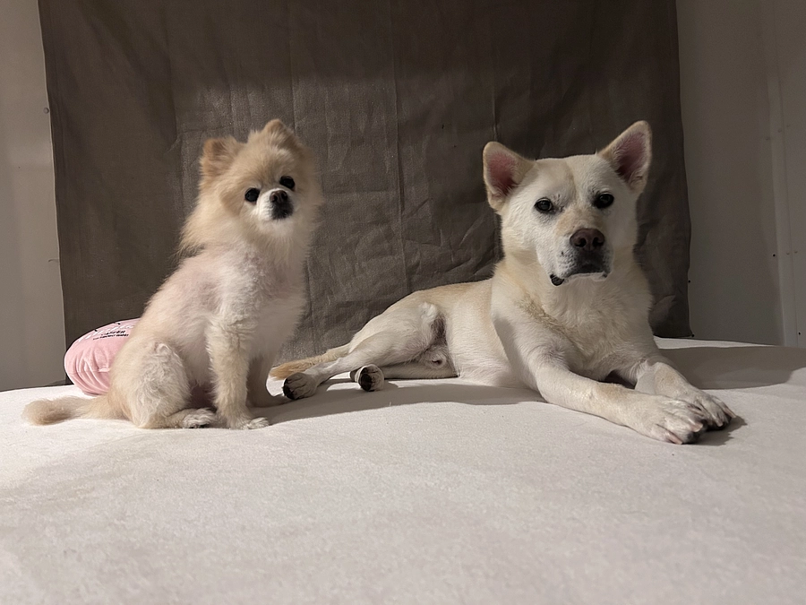 27/59 ☆ 見つめる先には何が見えるの？