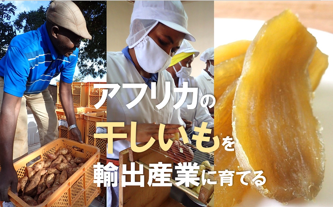 2回目のクラウドファンディングに挑戦します。