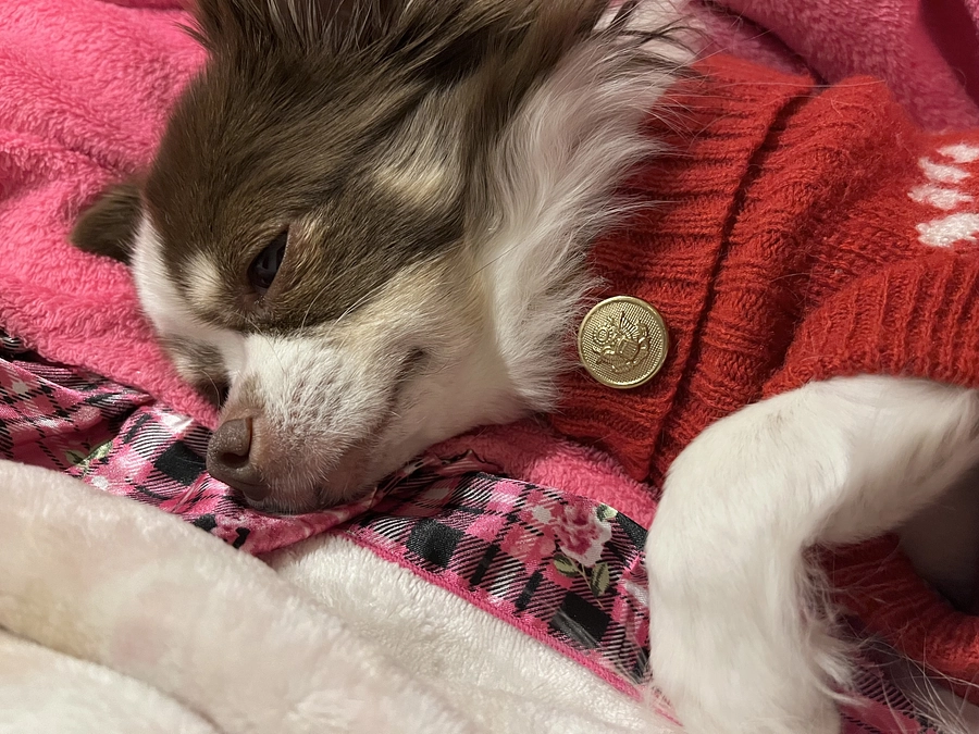 2024.01.18 残り33時間となりました。