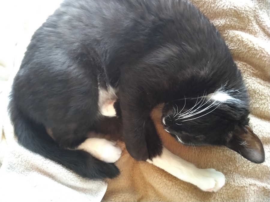 3/2はなちゃんの様子