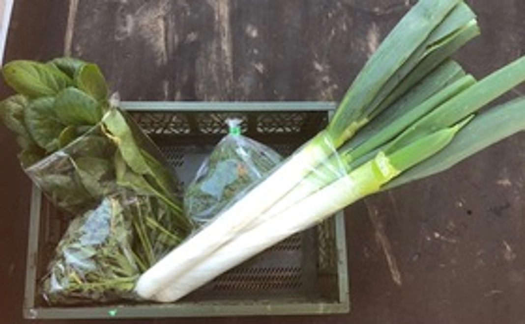 野菜（小）BOXと感謝のメッセージ！